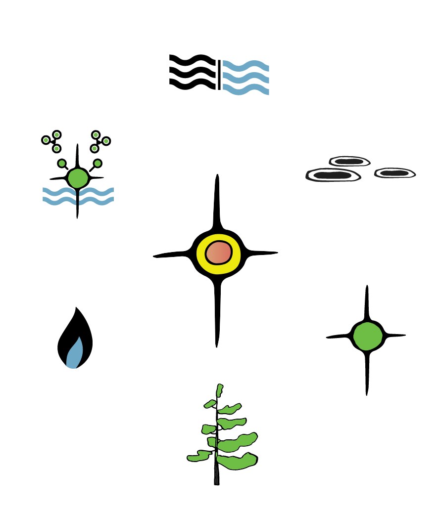 circle-generation-icons