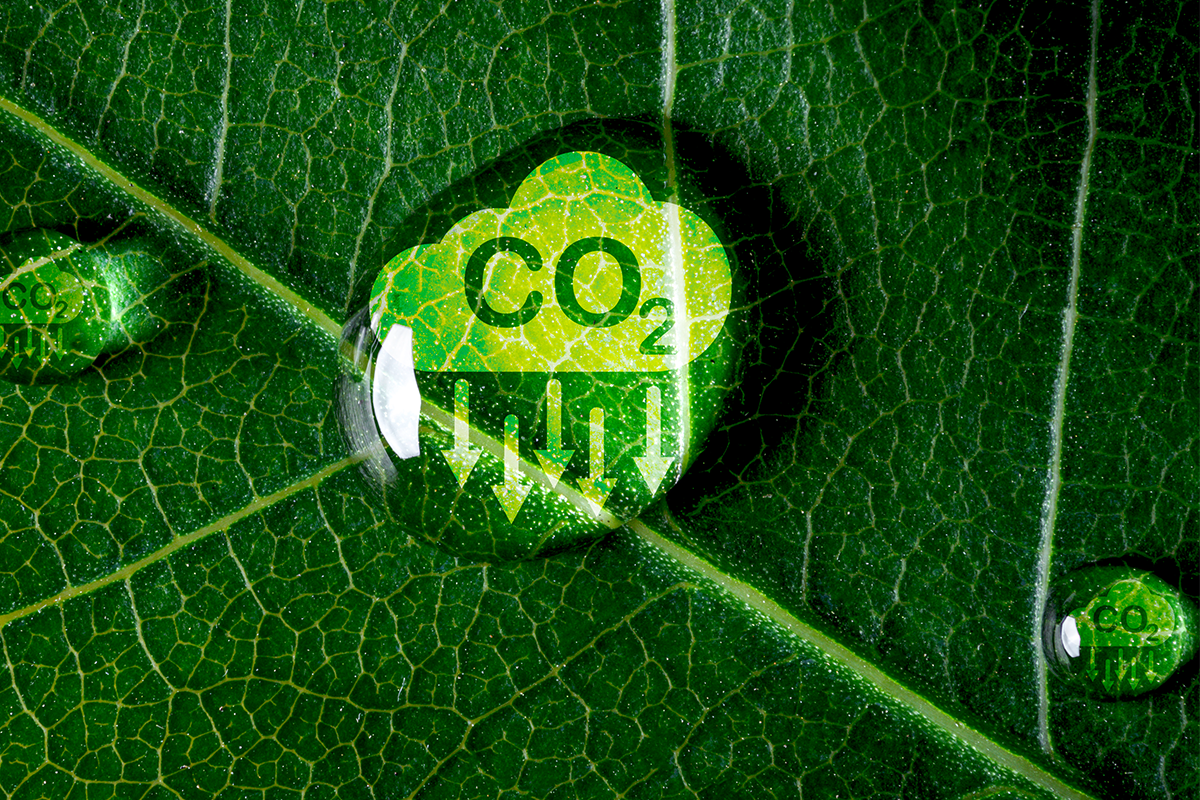 c02 c02